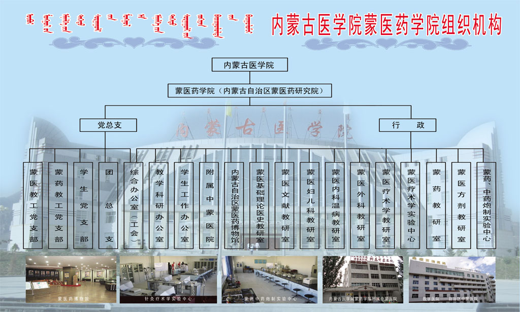 内蒙古医学院蒙医药学院组织机构