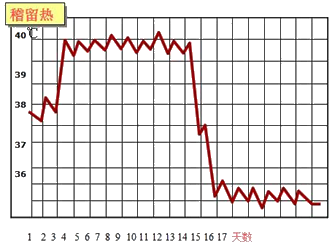 3～38℃   (2)中等度热:温度为38.1～39℃   (3)高热:温度为39.