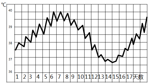 体温曲线 常见疾病