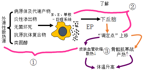 发热发病学基本环节示意图