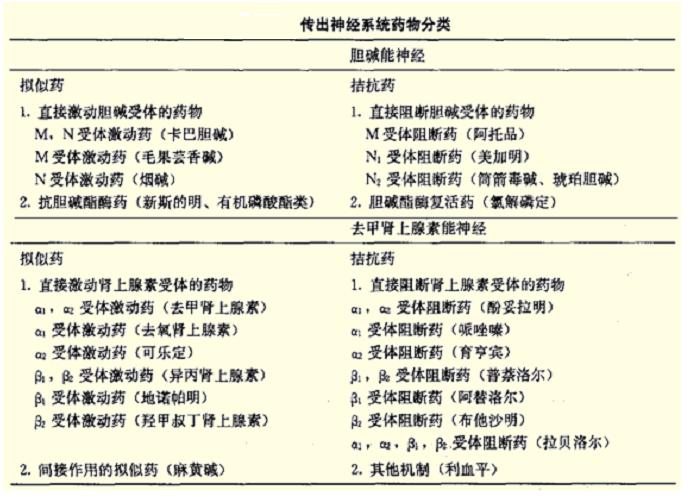 传出神经系统药物分类及代表药物