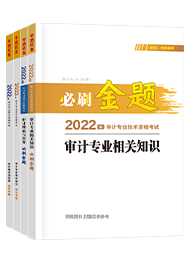 2022年审计师必刷金题《审计专业相关知识+审计理论与实务》（预售）