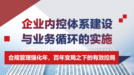 特训专题-企业内控体系建设与业务循环的实施