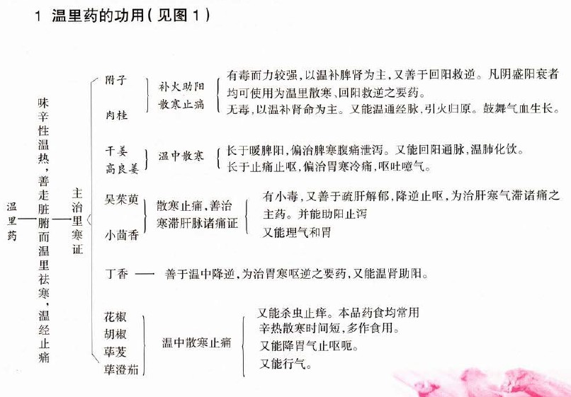 医学教育网执业药师