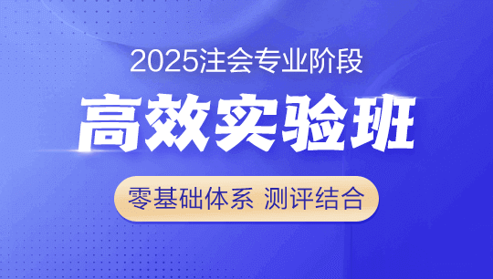 2025注会-高效实验班