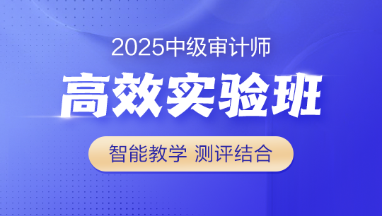 2025中級(jí)審計(jì)師-高效實(shí)驗(yàn)班