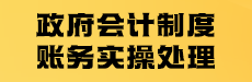 政府會計制度賬務(wù)實操處理