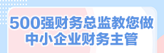 500強財務總監(jiān)教您做中小企業(yè)財務主管