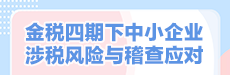 金稅四期下中小企業(yè)涉稅風(fēng)險與稽查應(yīng)對技巧