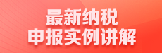 最新纳税申报实例讲解