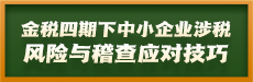 金税四期下中小企业涉税风险与稽查应对技巧(