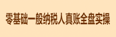 零基礎一般納稅人真賬全盤實操