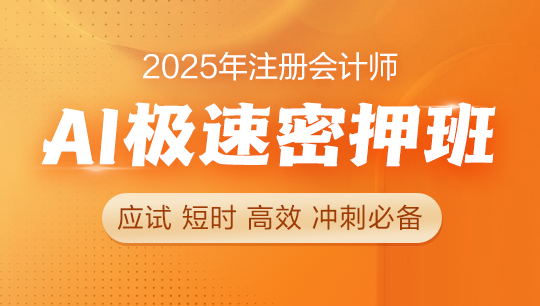 注会-AI极速密押班-2025