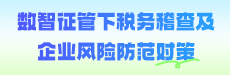 數(shù)智征管下稅務稽查及企業(yè)風險防范對策