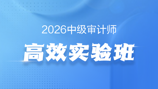 中级审计师高效实验班-2026