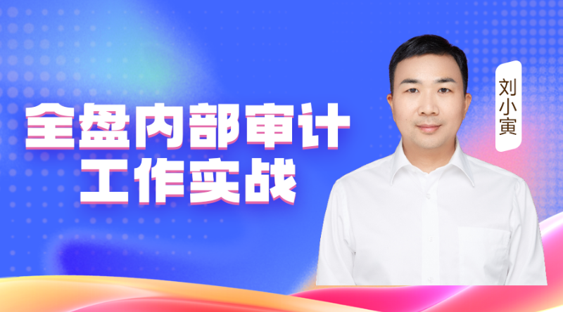 全盘内部审计工作实战