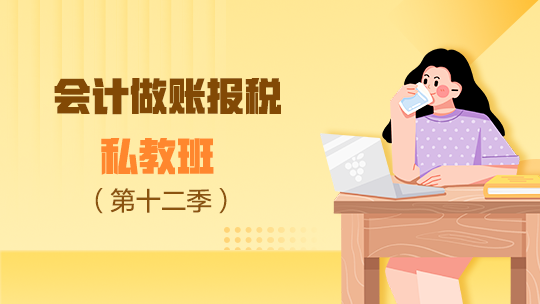会计做账报税私教班（十二季）