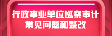 行政事业单位巡察审计常见问题和整改