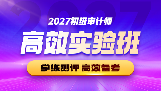 初级审计师高效实验班-2027