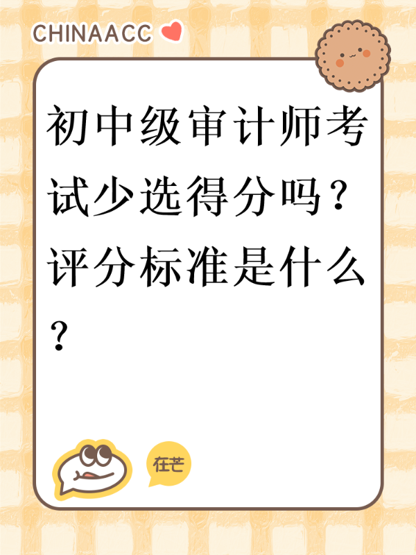 初中级审计师考试少选得分吗？评分标准是什么？