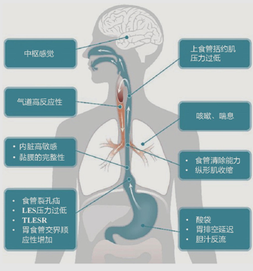 临床执业