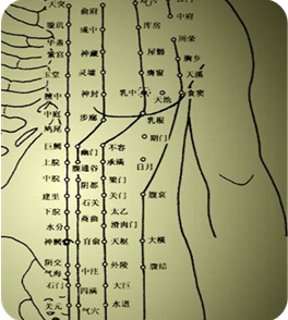 中醫經絡腧穴學課程講座