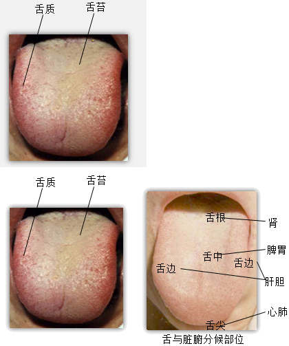 原因舌头厚白苔是怎么回事_舌头白苔厚是什么原因_舌头白苔厚重
