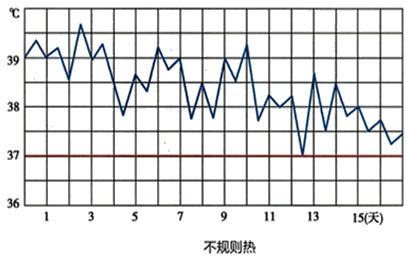 不规则热体温急剧上升至39℃或以上