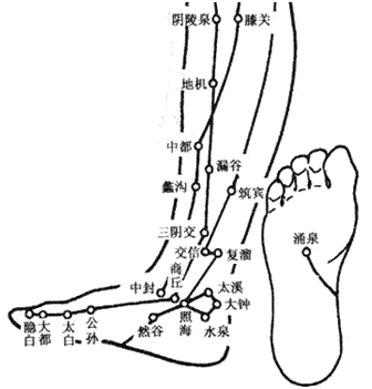 四肢部的分佈十二經脈的分佈規律足手陰經在胸部交接.