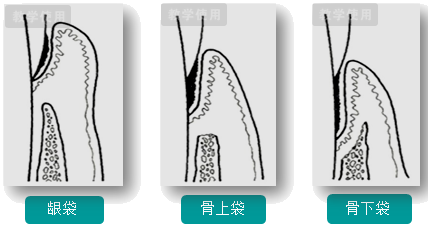 口腔执业医师-精选考点班(2023) - 正保医学教育网免费试听课堂