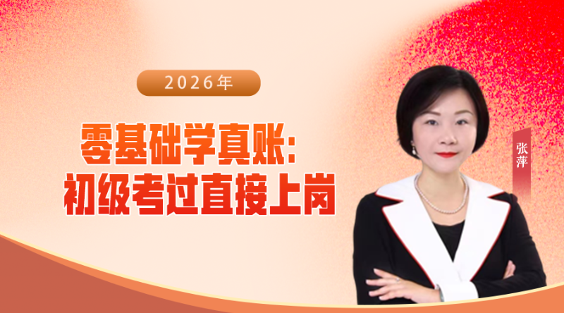零基础学真账：初级考过直接上岗