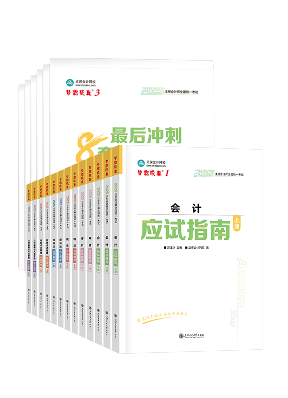 2025年注册会计师应试指南+模拟试卷-专业阶段六科