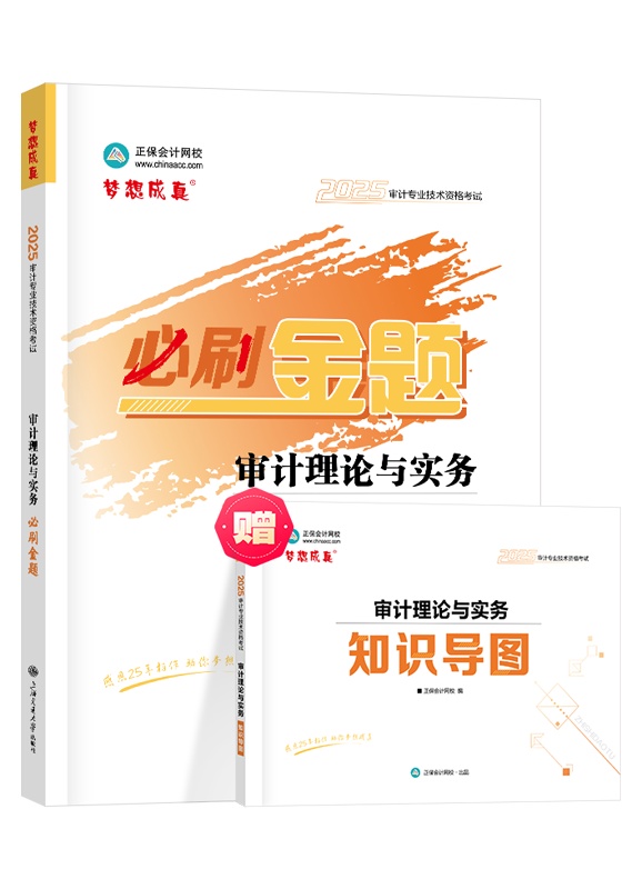 [预售]2025年审计师《审计理论与实务》必刷金题