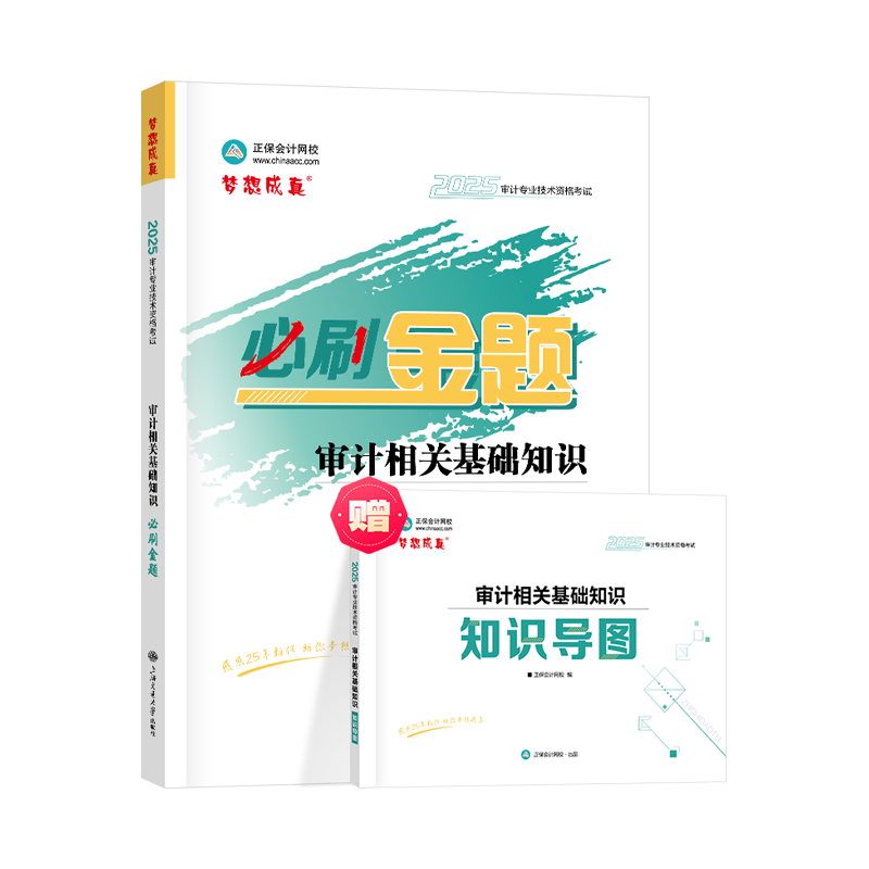 2025审计相关基础知识必刷金题