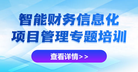特训专题-智能财务信息化管理专题培训
