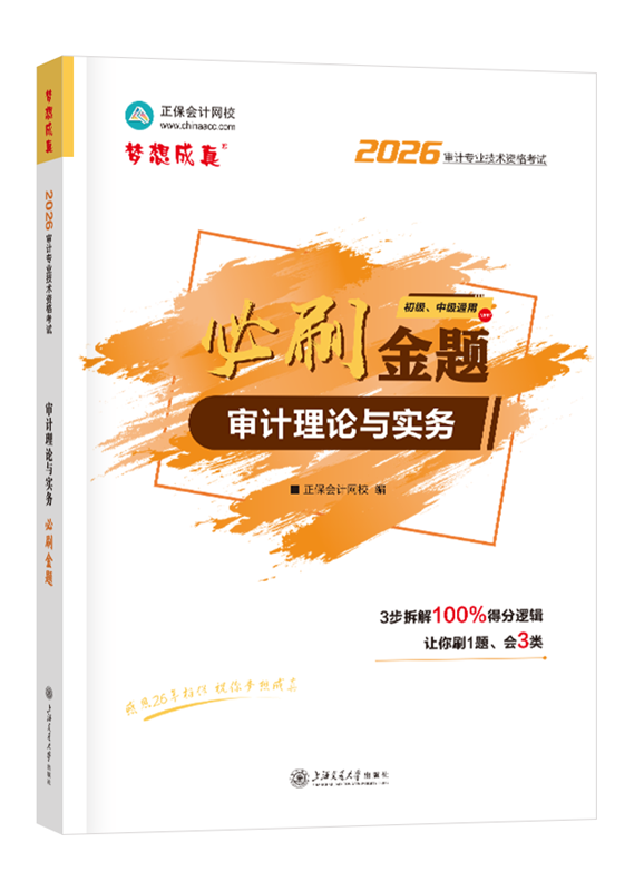 2026年审计师《审计理论与实务》必刷金题